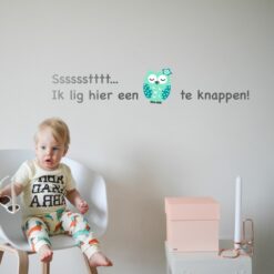 Muursticker Sssssstttt... Ik lig hier een uiltje te knappen